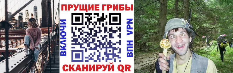 купить наркотики цена  Белово  Псилоцибиновые грибы мицелий 