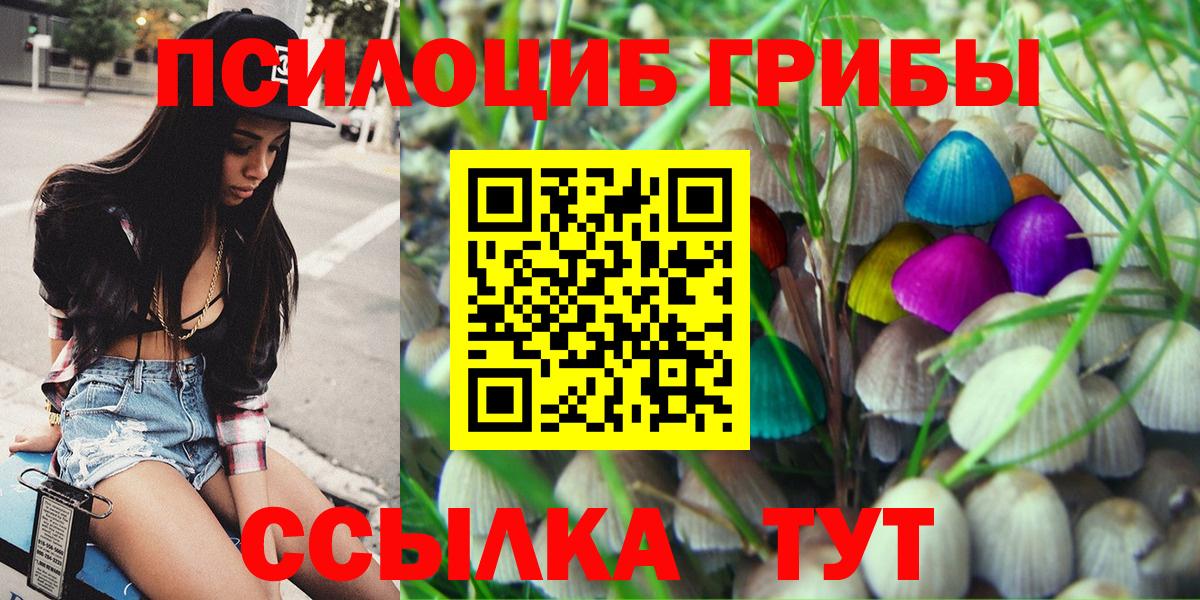 Галлюциногенные грибы GOLDEN TEACHER Белово
