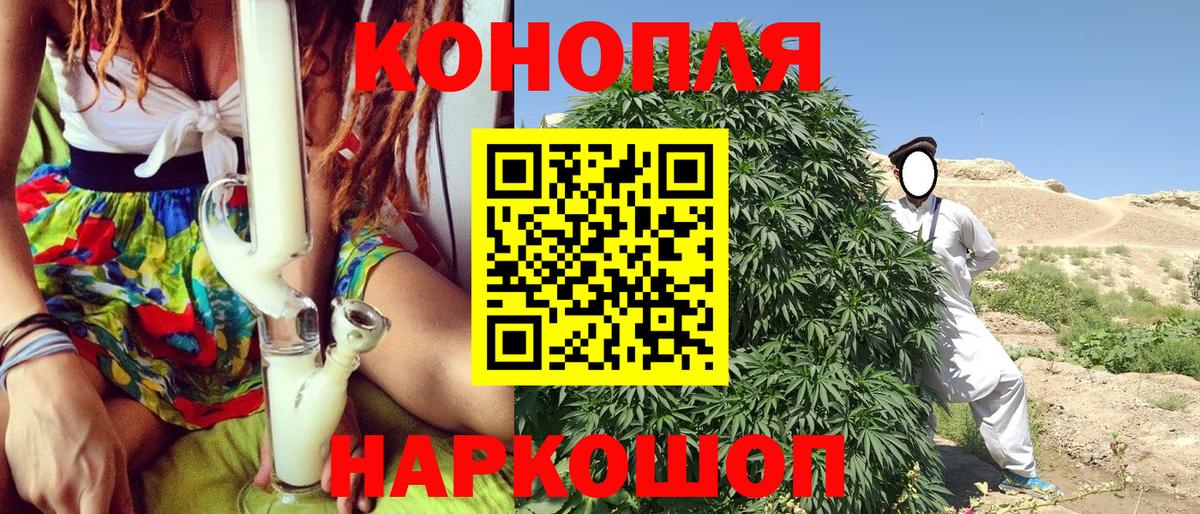 Псилоцибиновые грибы Белово